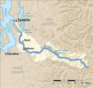 A blue river flows from Puget Sound, through Seattle, Kent, and Auburn. The river is overlaid through a topographical map of King and Pierce Counties. 